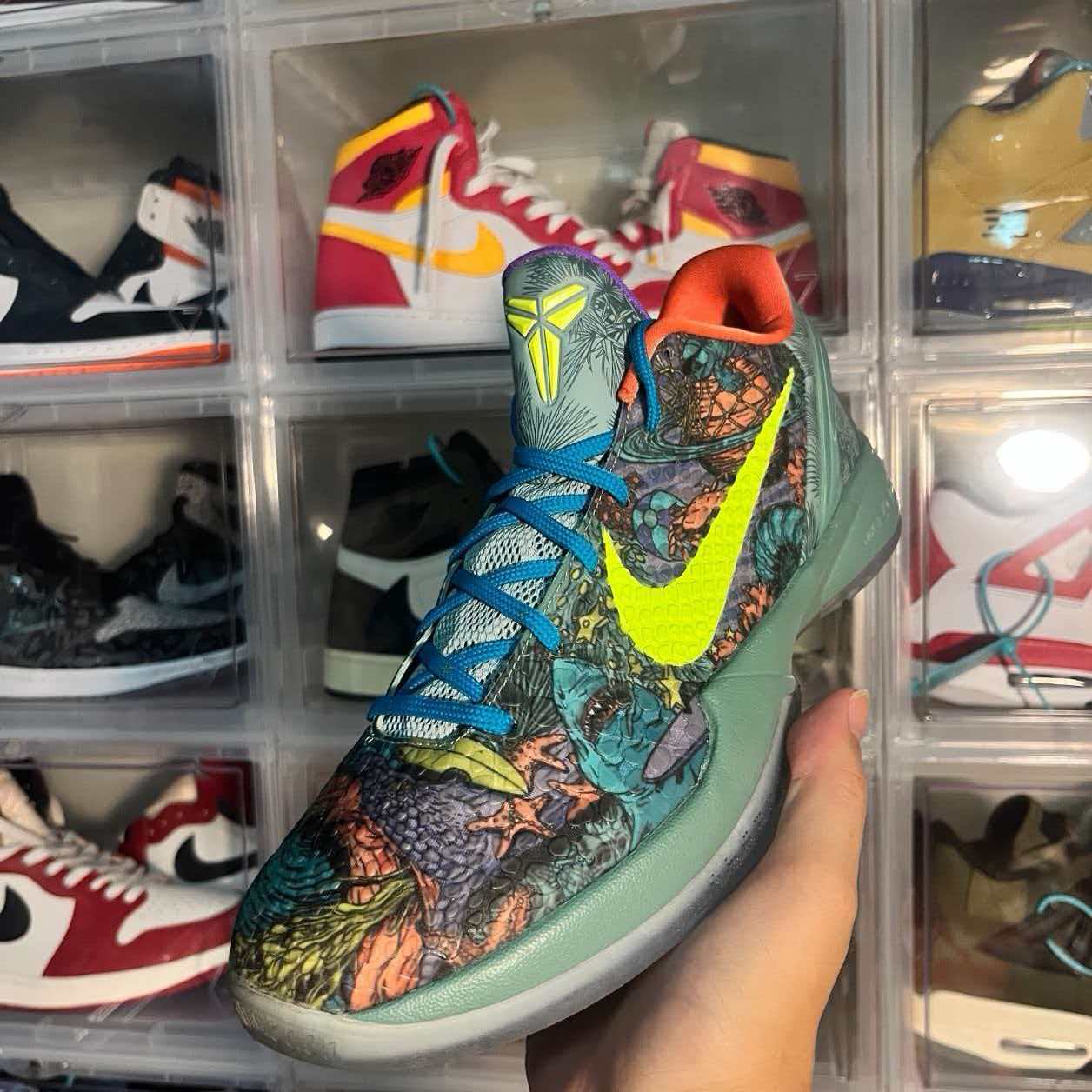 Nike Zoom Kobe 6 