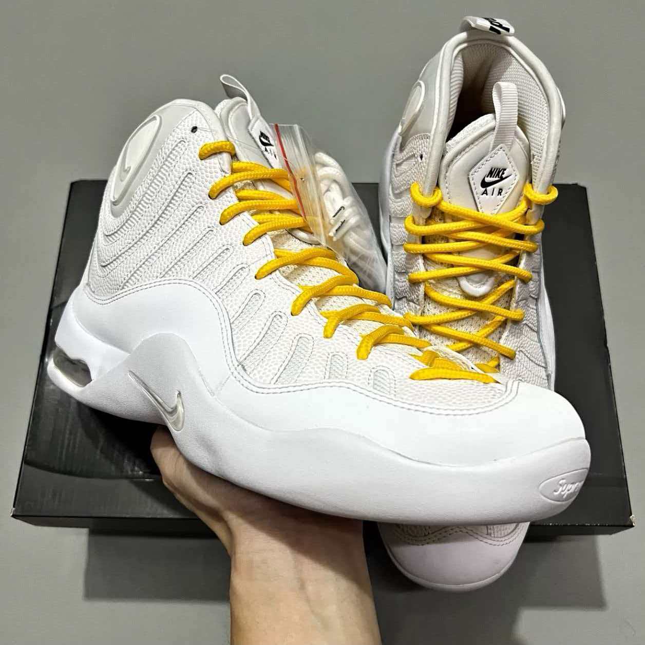 Nike Air Bakin