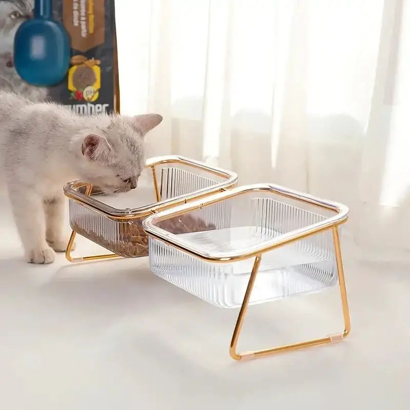 Transparent Double Pet's Bowl