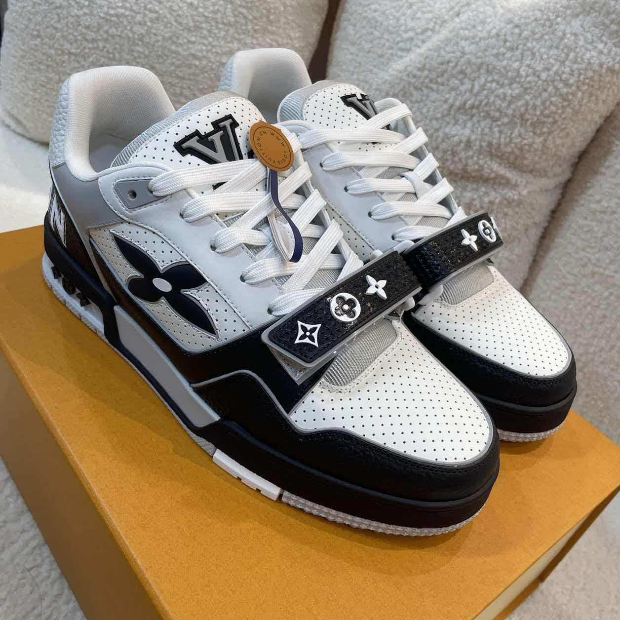 LV Trainer 
