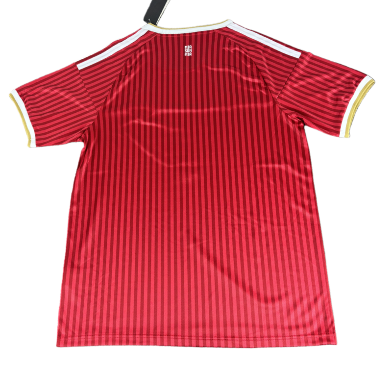 2026-27 Bayern Munich Special Edition Football Shirt Fan version