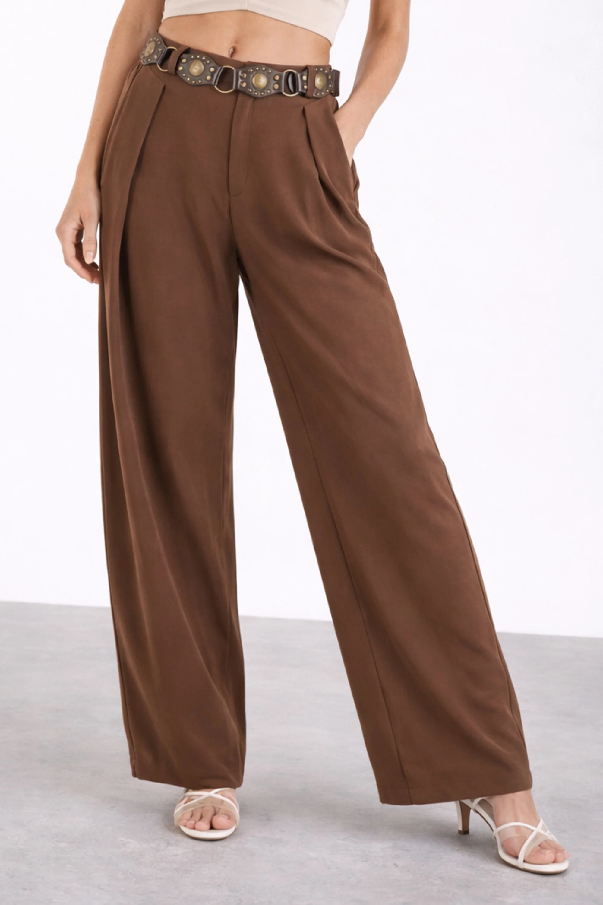 Brown Pants with Inverted Pleats