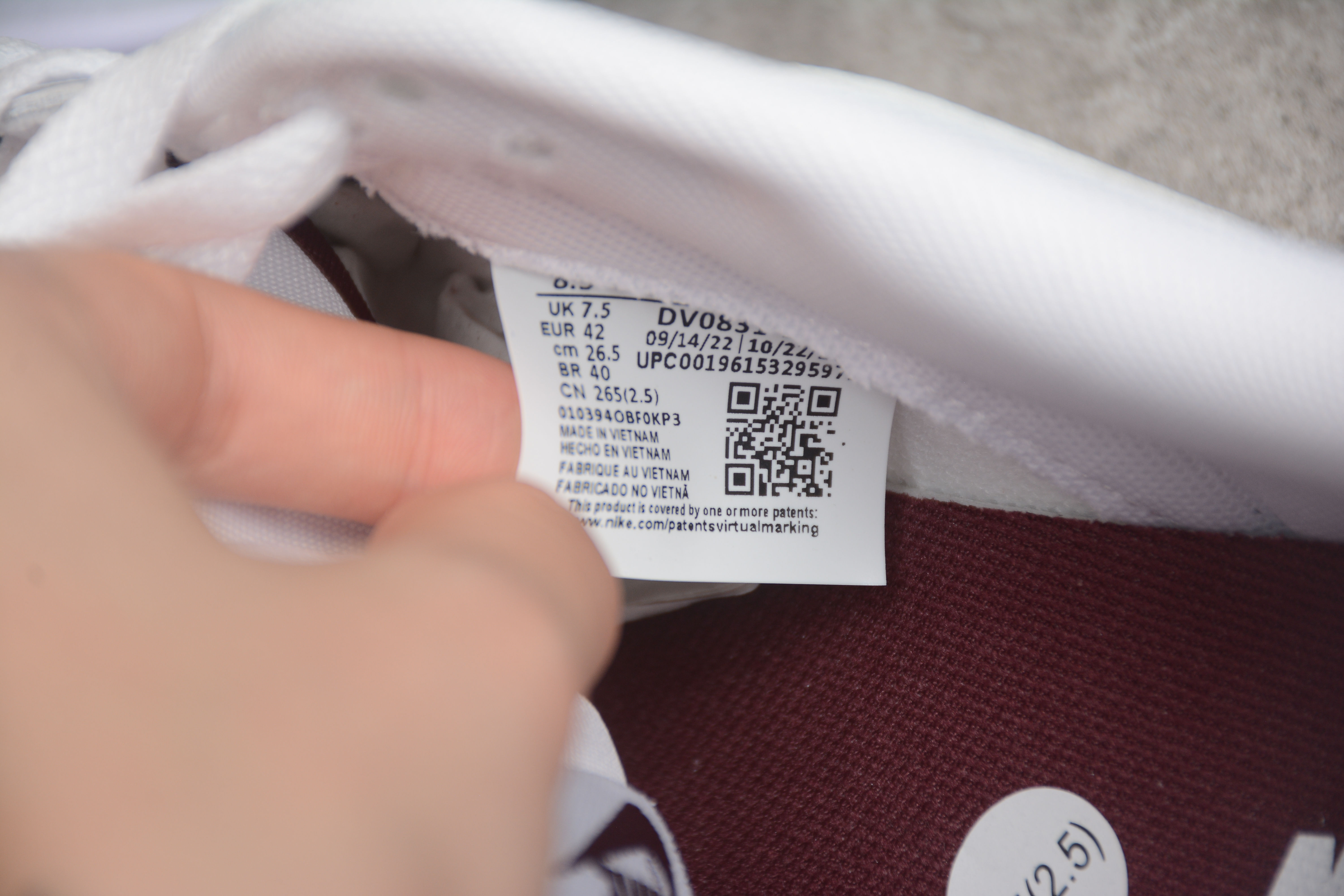 SB Dunk Low Night Maroon DV0831-102
