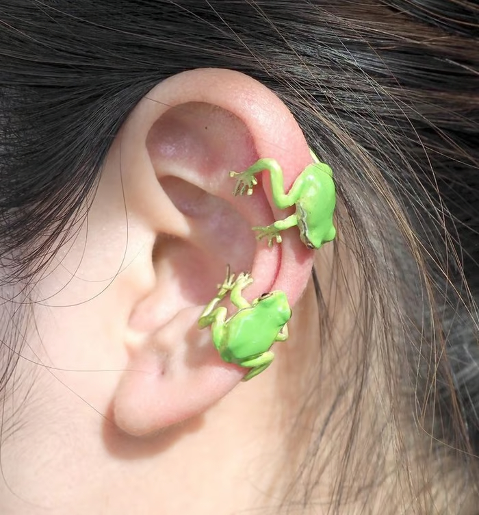 🐸Tree Frog Ring & Earrings