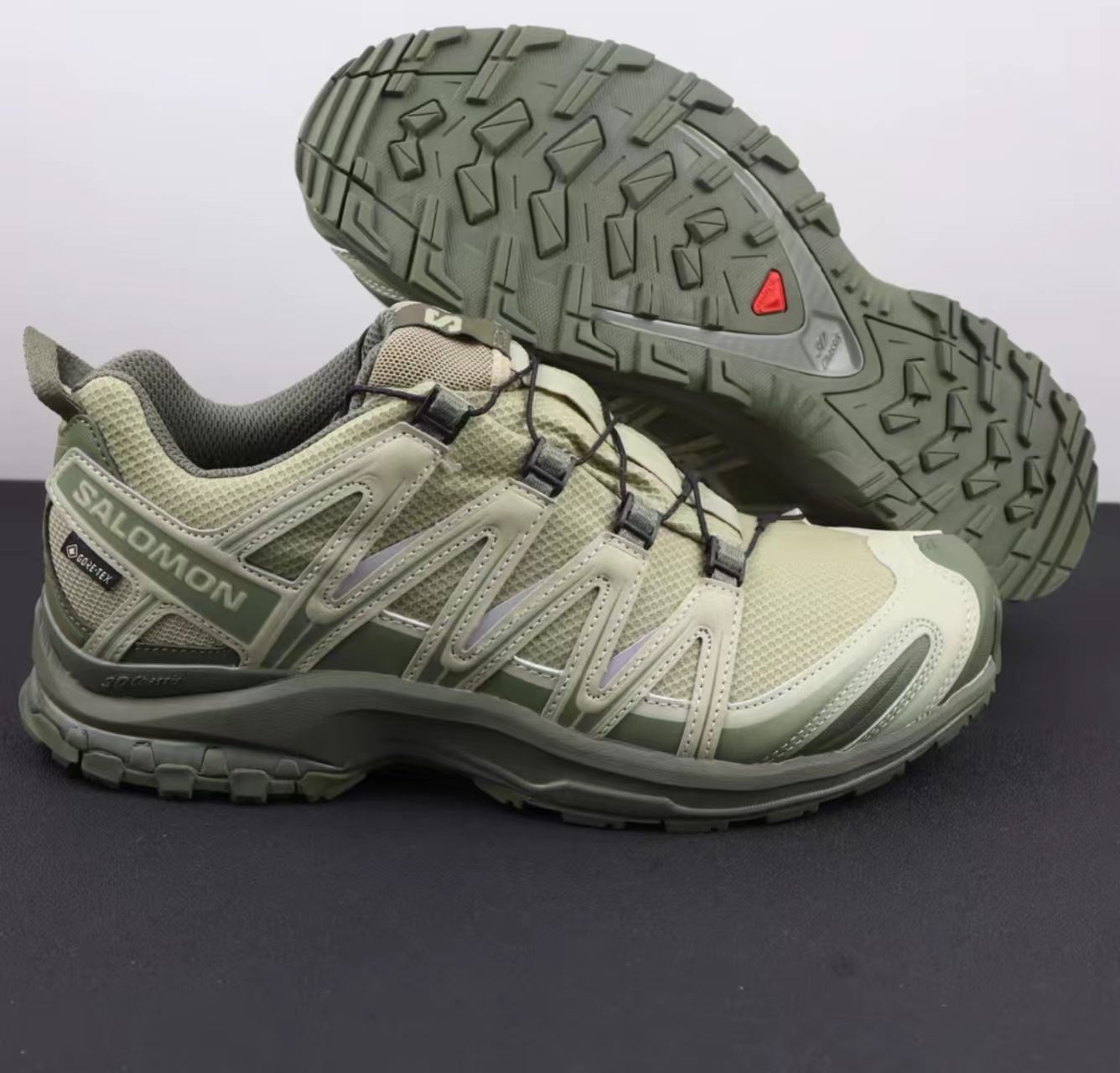 Salomon XA Pro 3D Light Sage Gore-Tex Mesh Hiking Shoes