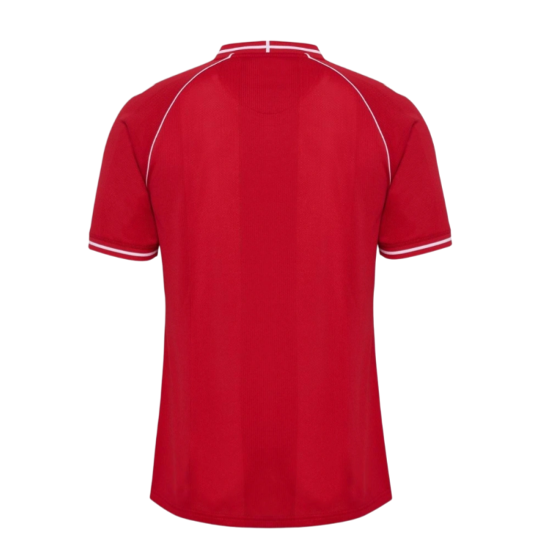Denmark World Cup 2026 Home Shirt Short Sleeve Football Jersey Fan Version