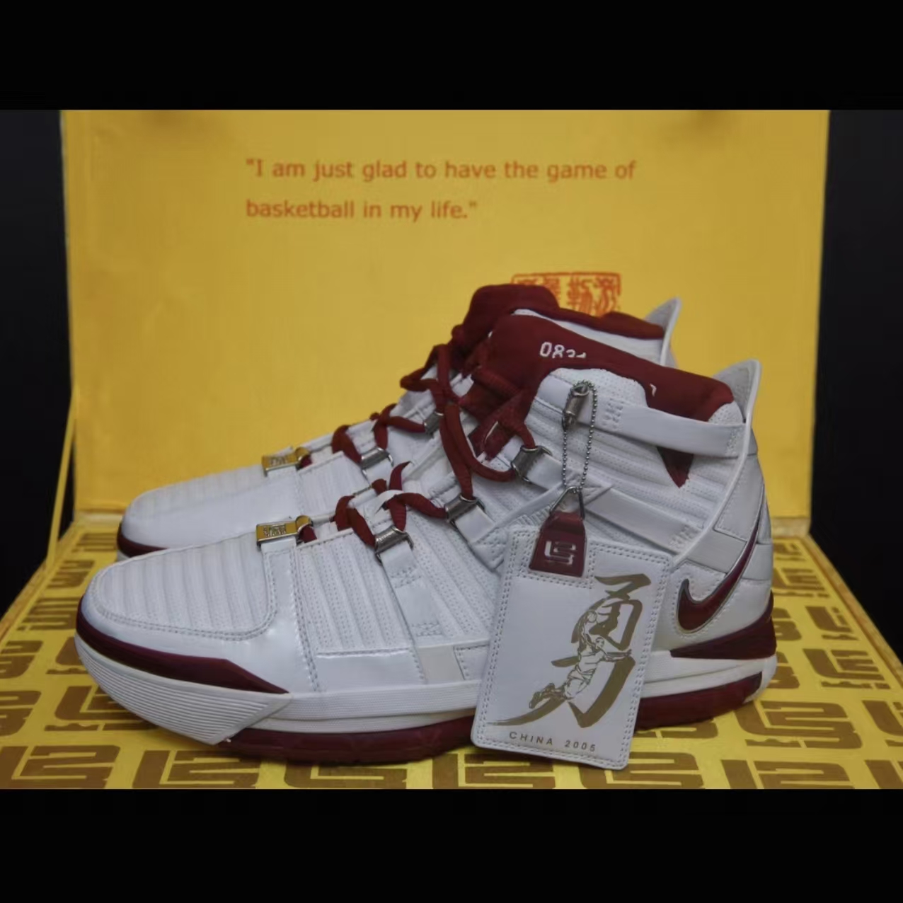 Nike Zoom LeBron 3 