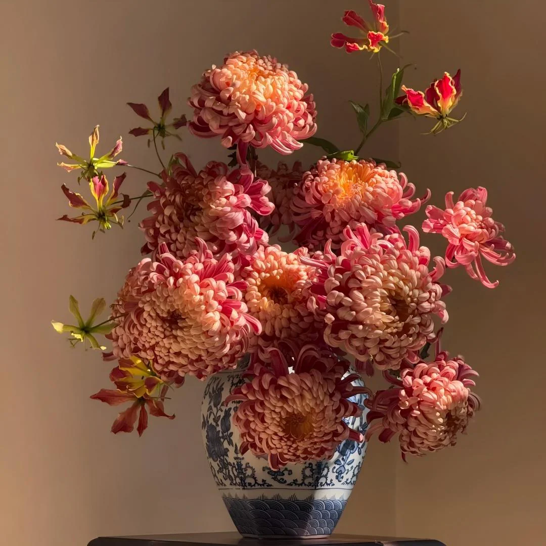 Double Bloom Chrysanthemum Seeds