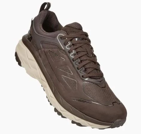 Men's Challenger Low Gore-Tex Shoe