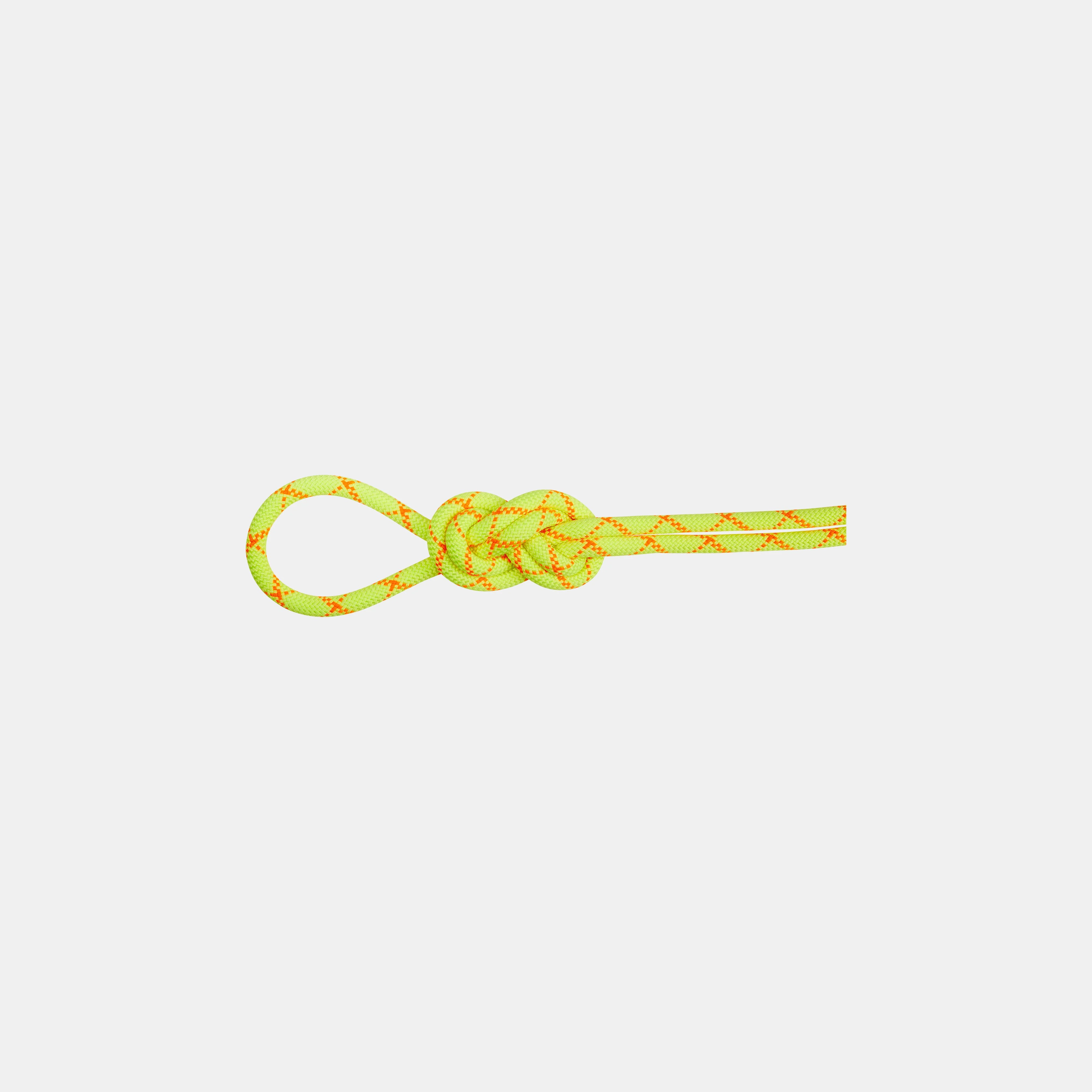 9.5 Alpine Core Protect Dry Rope