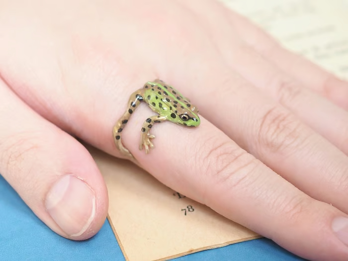 🐸Tree Frog Ring & Earrings