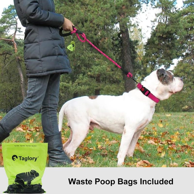 Dog Leash for Medium Large Dogs, 6 FT Padded Handle, Hotpink