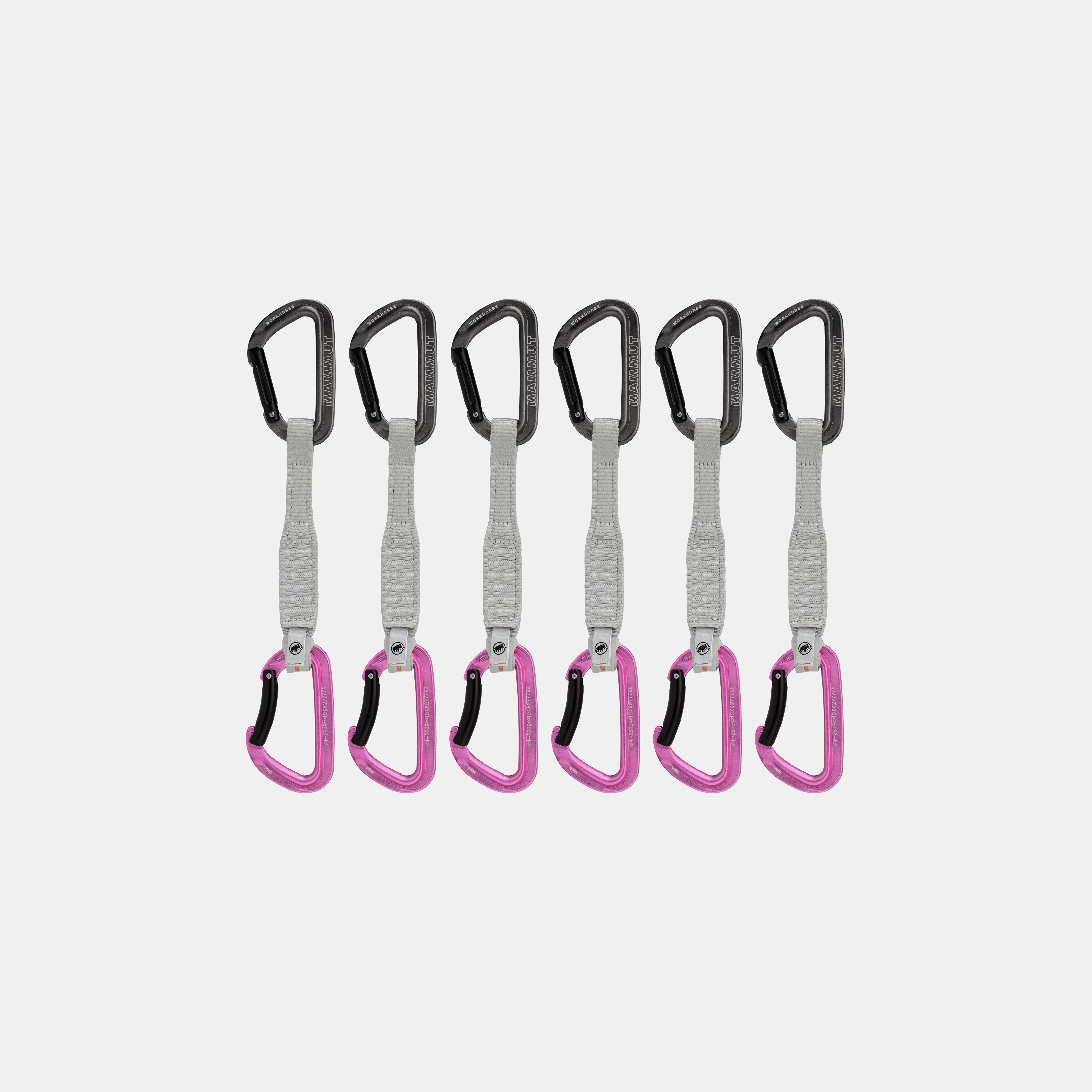 Workhorse Keylock 17 cm 6-Pack Quickdraws