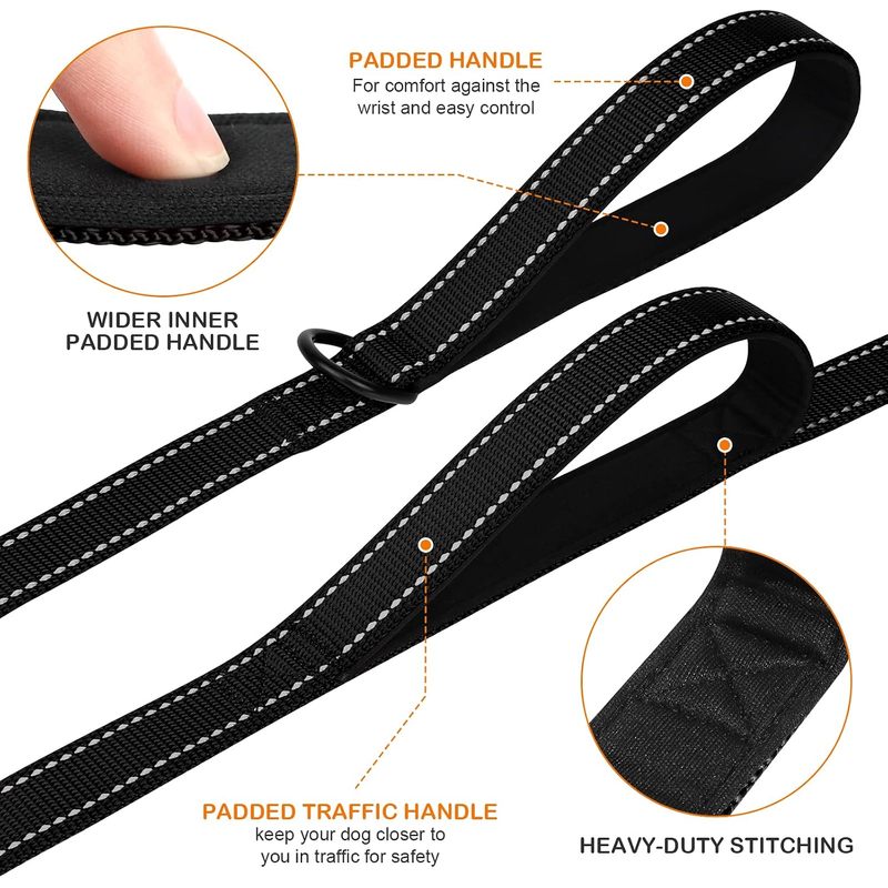 Dog Leash for Large Dogs that Pull, Double Handle, 6FT, Black