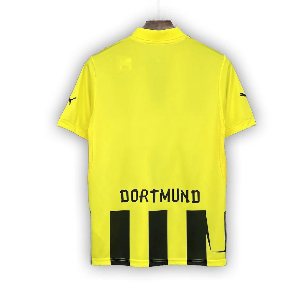 Borussia Dortmund 2012/13 Home