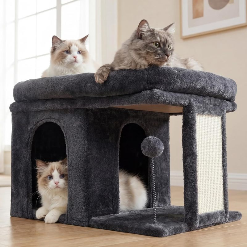 Kitten Dream Bed Diary