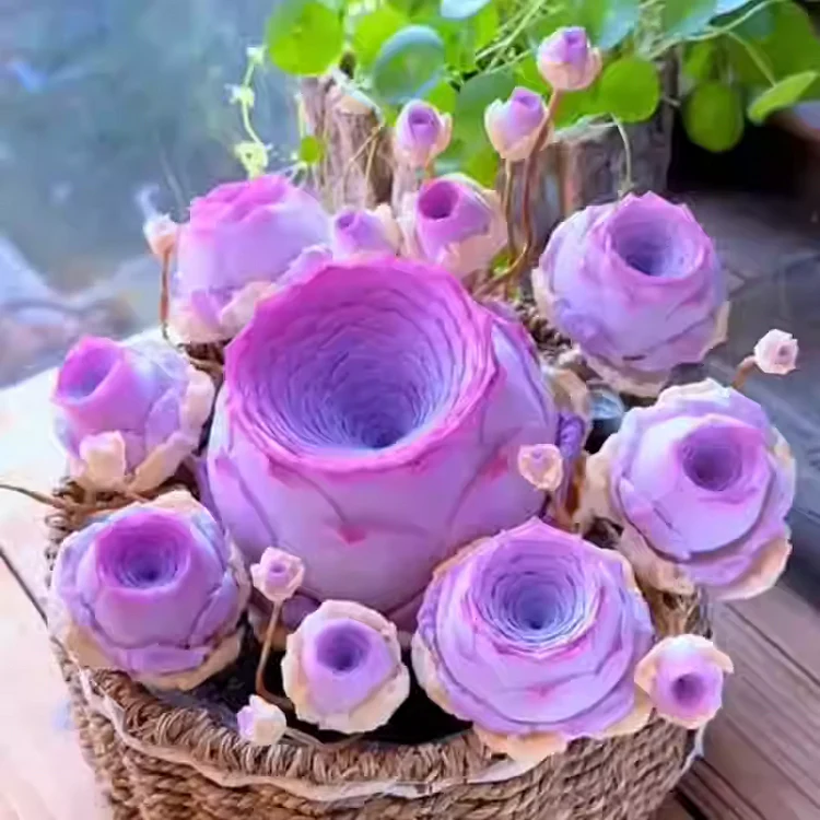 Mountain Rose Succulent Plant
