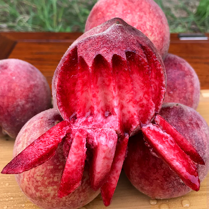 Blood Peach Seeds