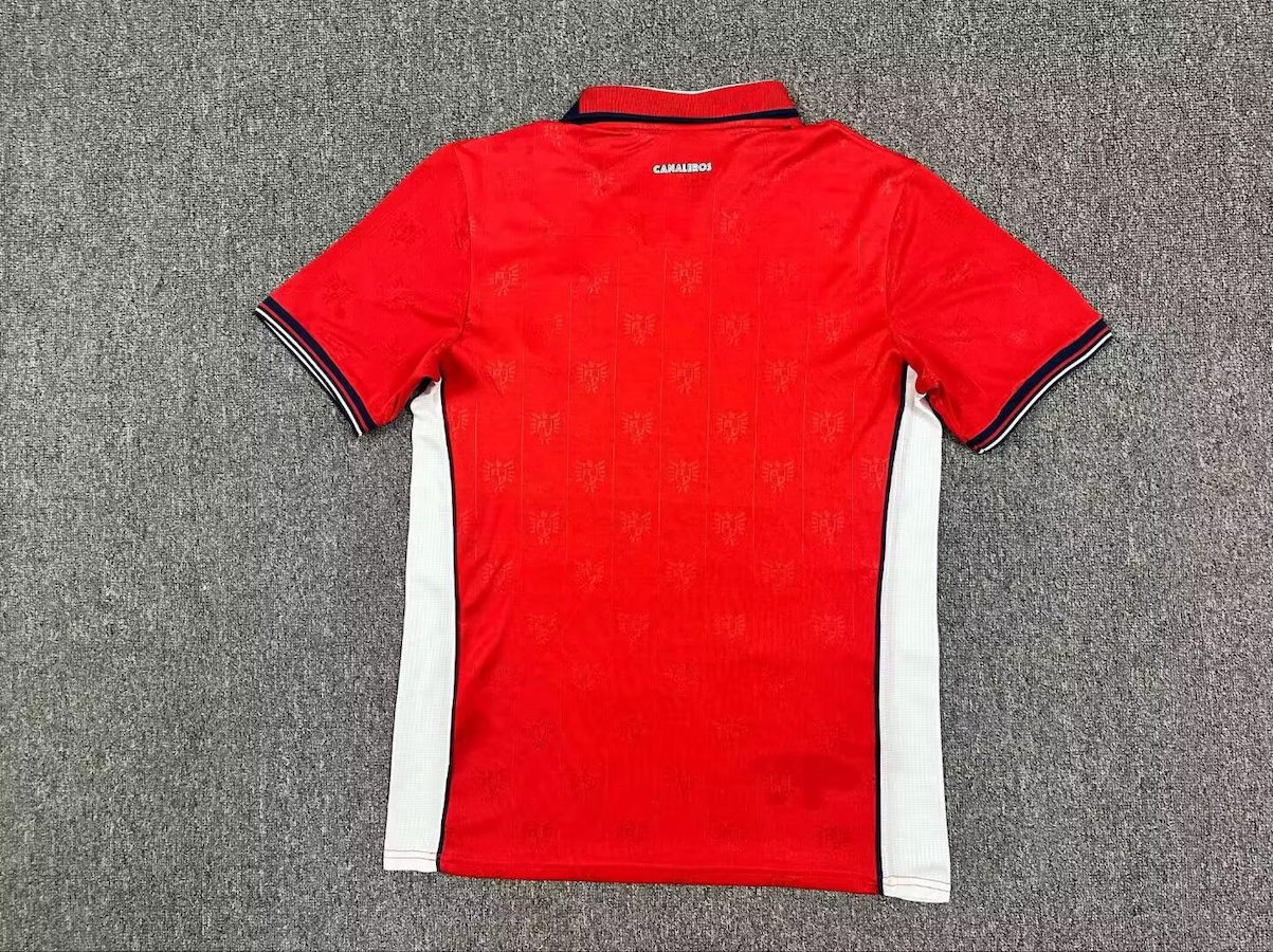 World Cup 2026 Panama Home Shirt  Soccer Jersey - Fan Version