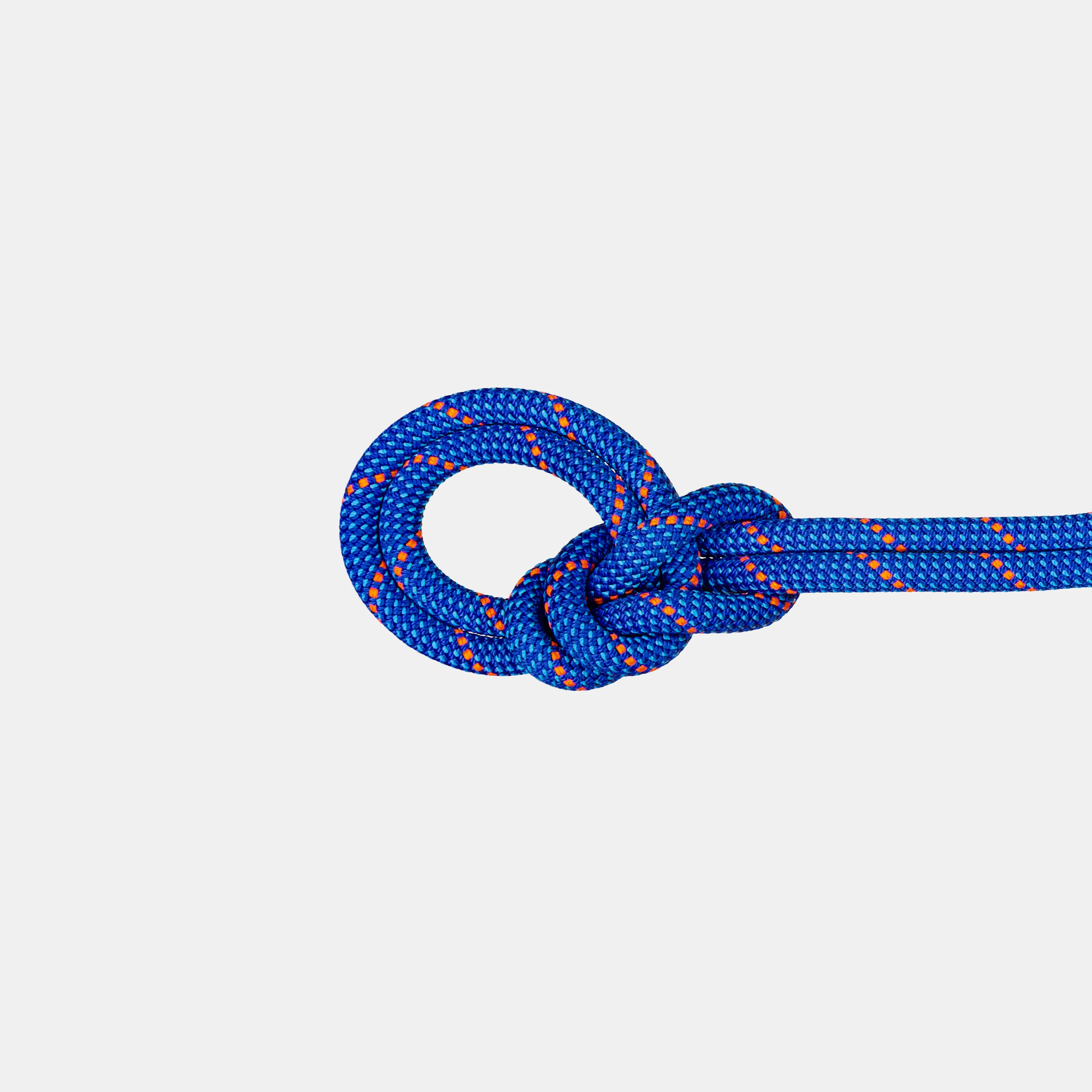 9.5 Crag Dry Rope