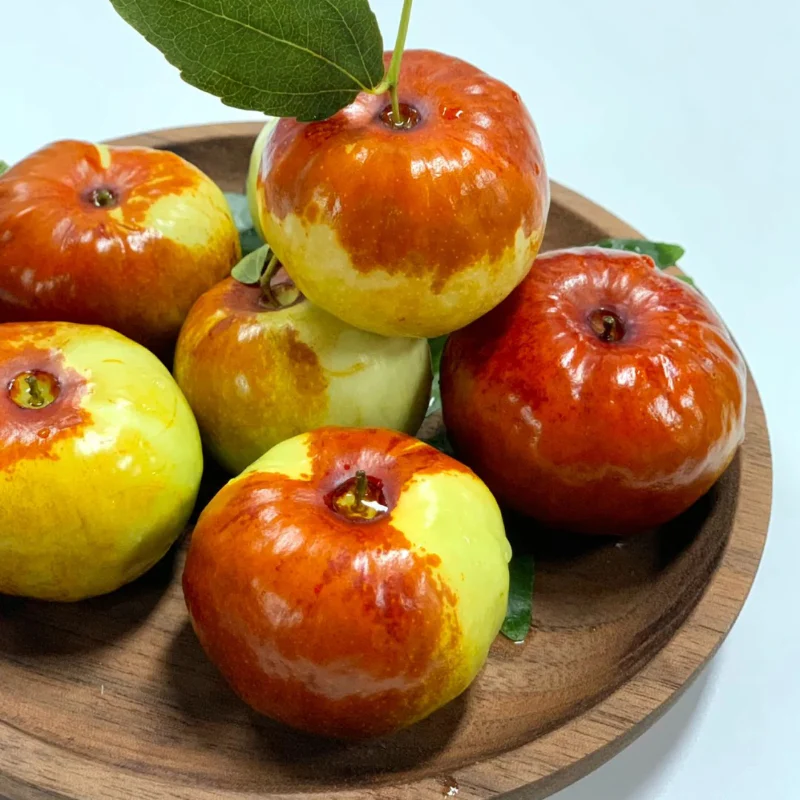 Flat Chinese Dates Seeds