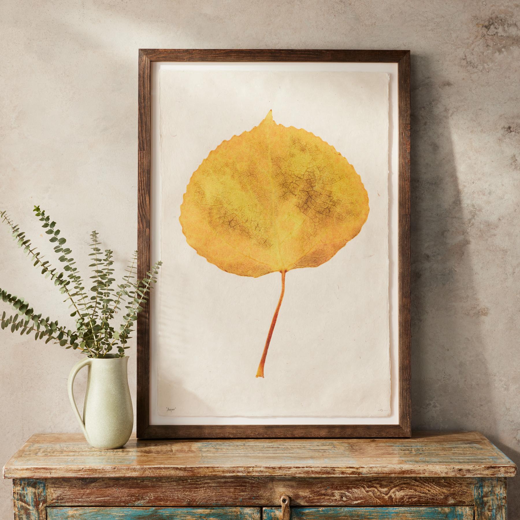 Leaf Studies Print