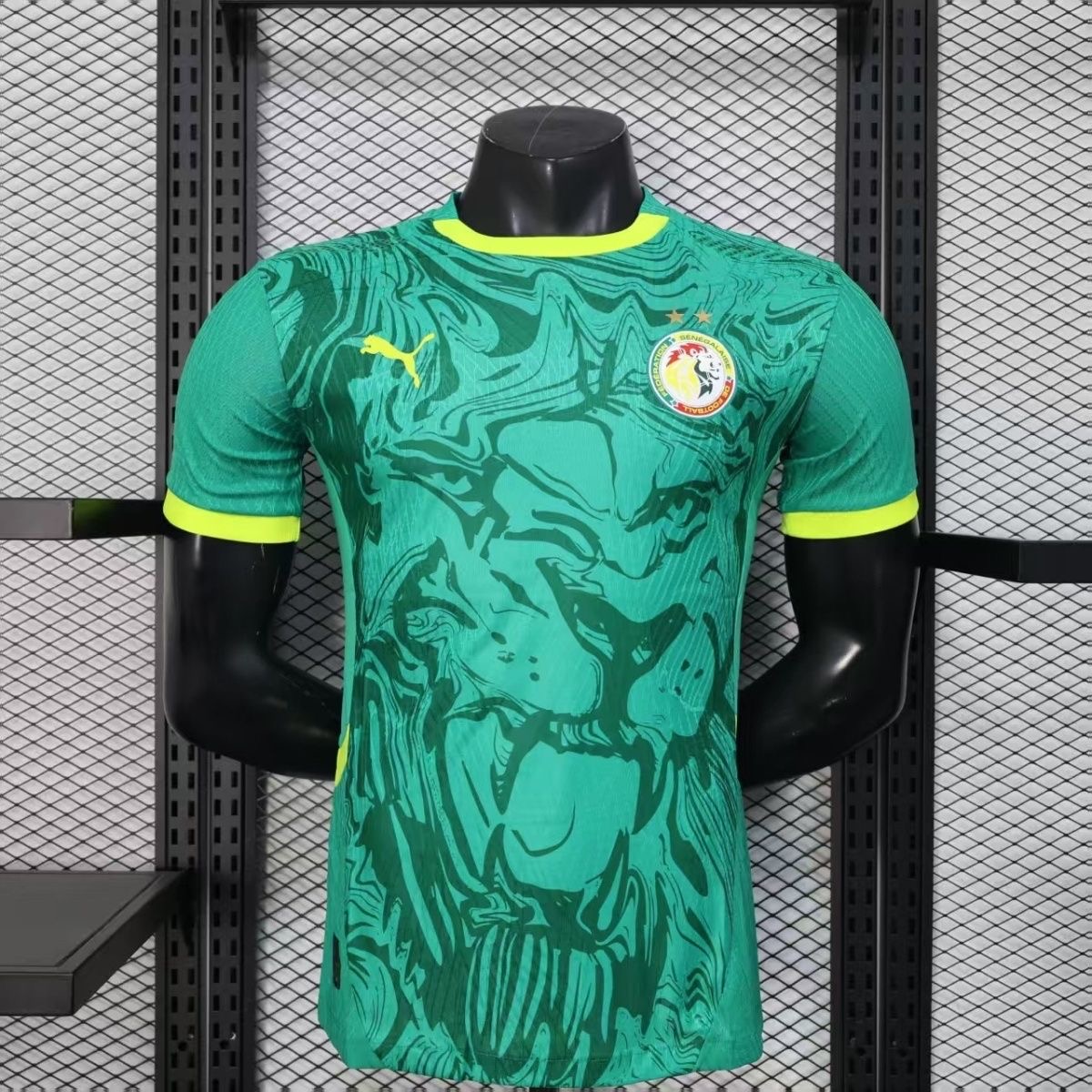 Senegal Authentic Soccer Jersey Away Shirt 2025 - Two Stars
