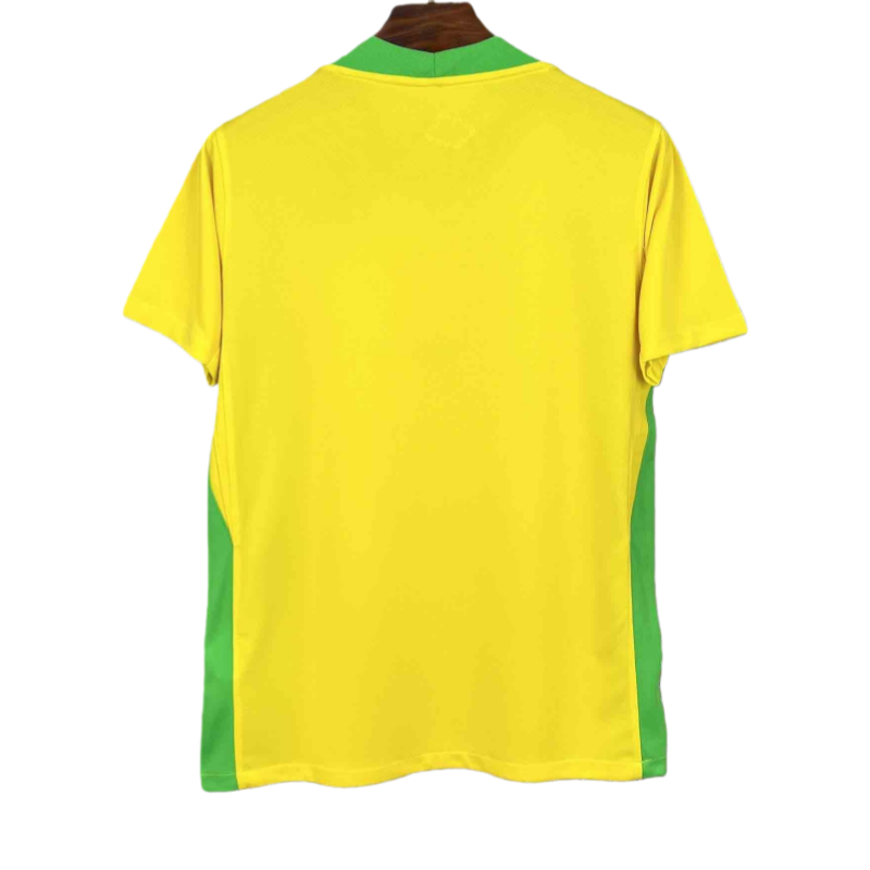 2025 Brazil Home Women Football jersey Fan edition