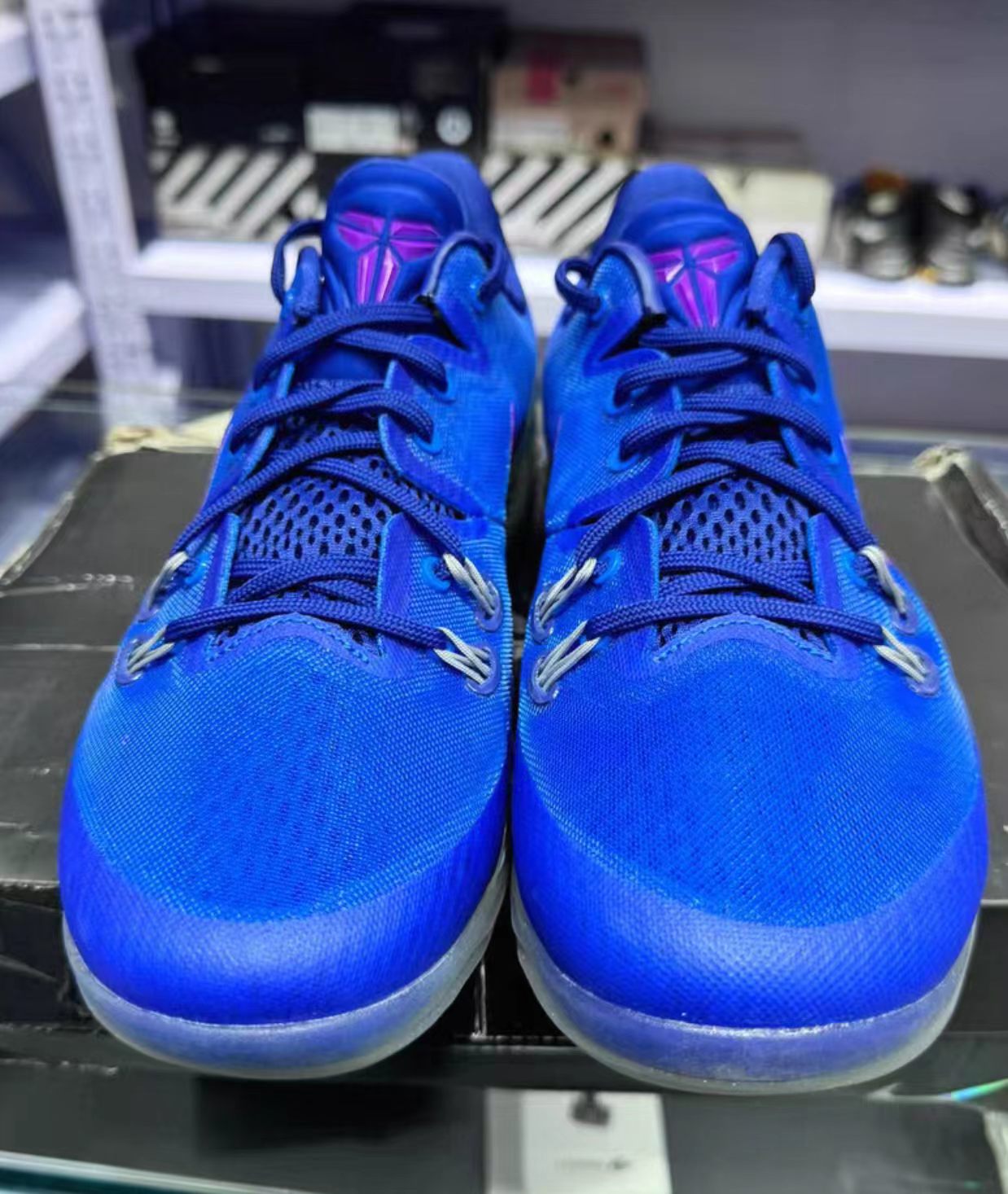 Nike Zoom Kobe Venomenon 5 "Blue/Purple"