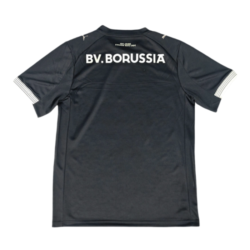 2025-26 Borussia Dortmund 100th Anniversary Rote Erde Special Edition Football jersey Fan Version