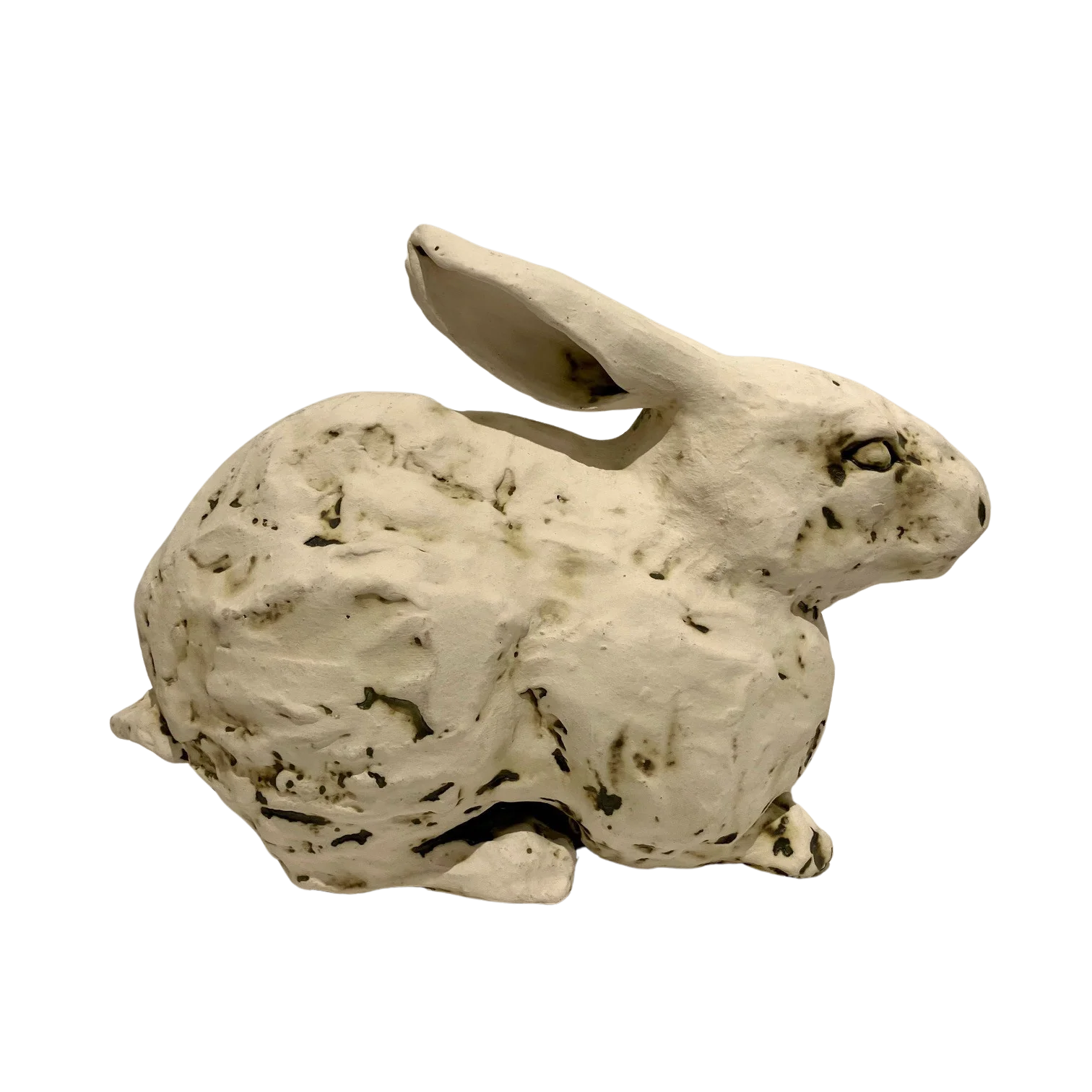 Wren MacDonald - White Rabbit