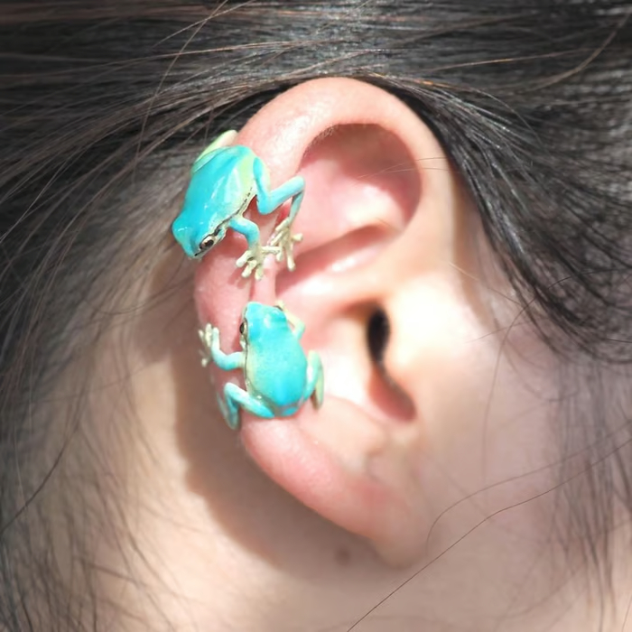 🐸Tree Frog Ring & Earrings