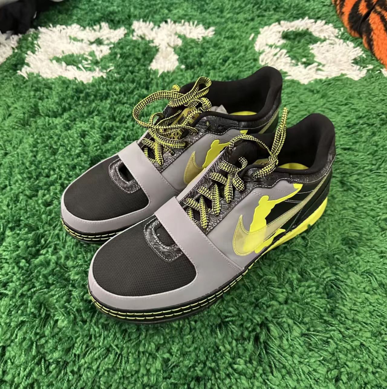 Nike Zoom LeBron 6 Low Dunkman