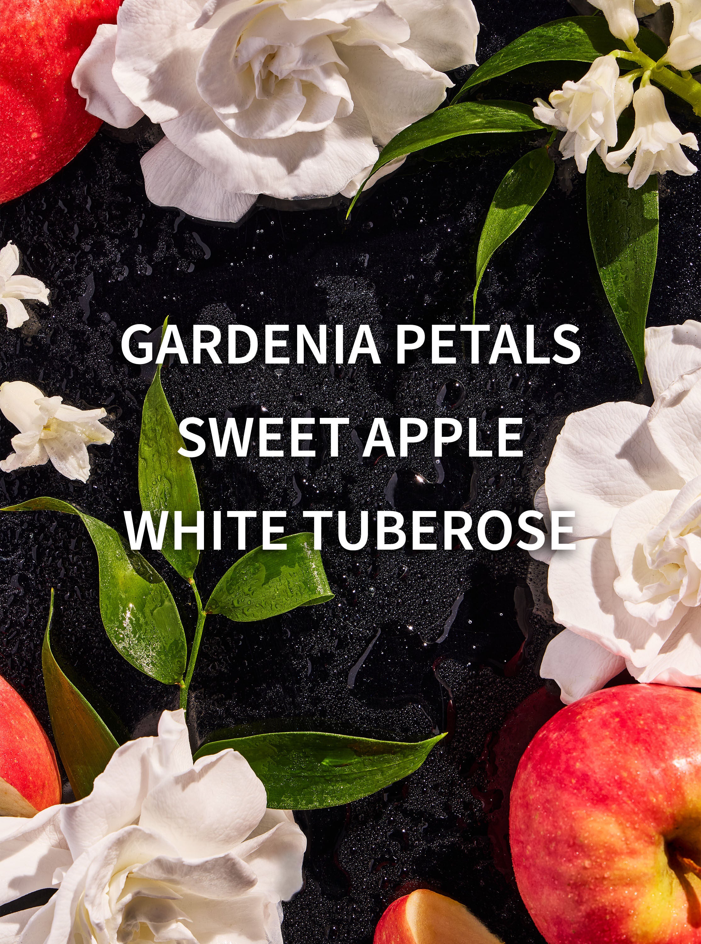 White BarnWhite Gardenia