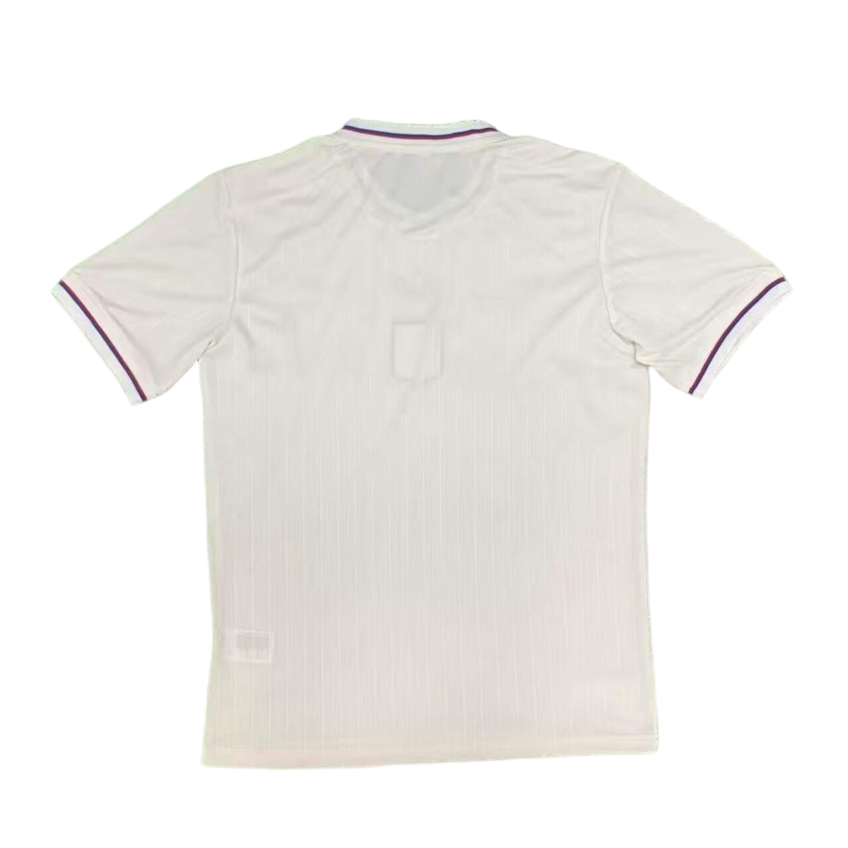 Olympique Lyonnais Soccer Jersey 75th Anniversary Custom Shirt 2025-26