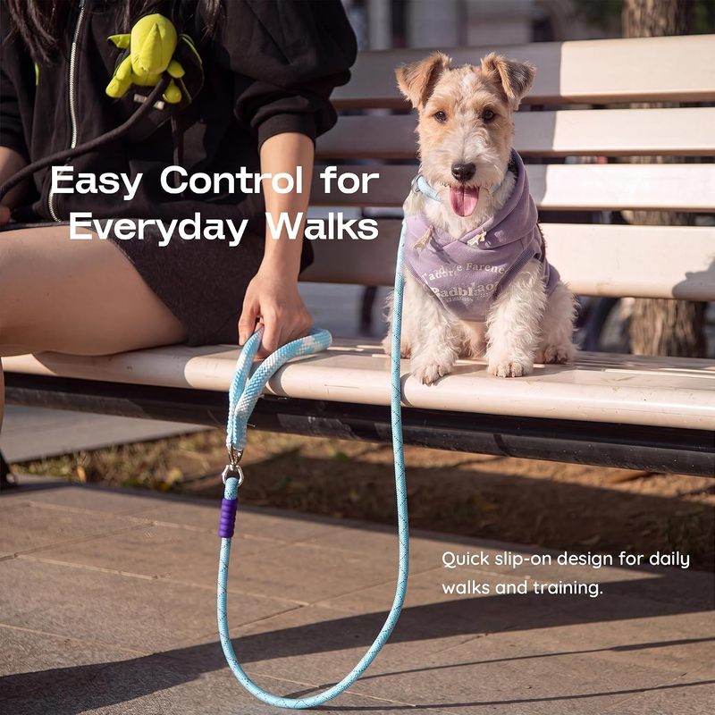 Reflective Slip Lead Dog Leash, 5FT Braided Nylon Rope for Training