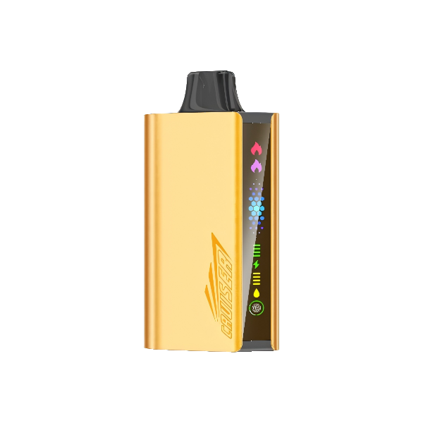 Cool Mint | JNR Cruiser Gold Disposable Vape