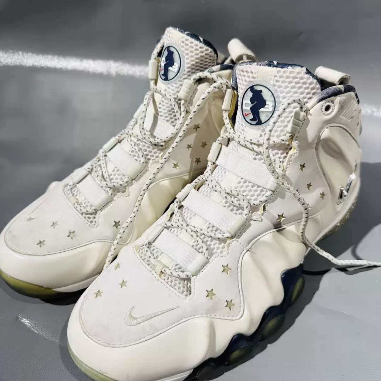 Nike Barkley Posite Max 