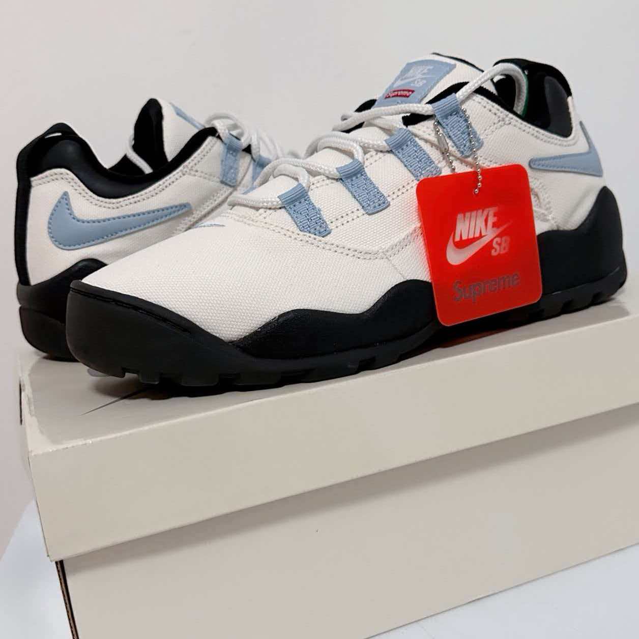 Supreme × Nike SB Air Darwin Low