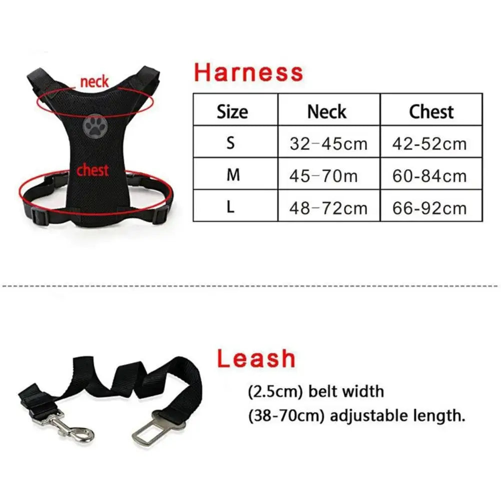 Straps Chest & Car Seat Belt