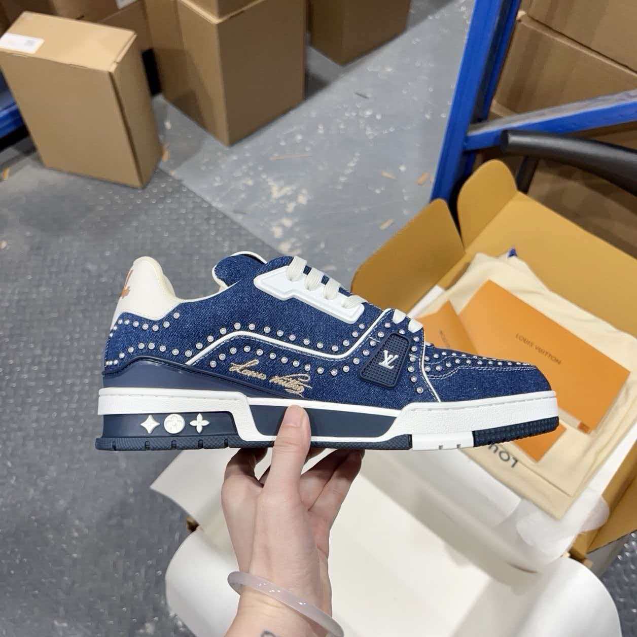 LV Trainer 