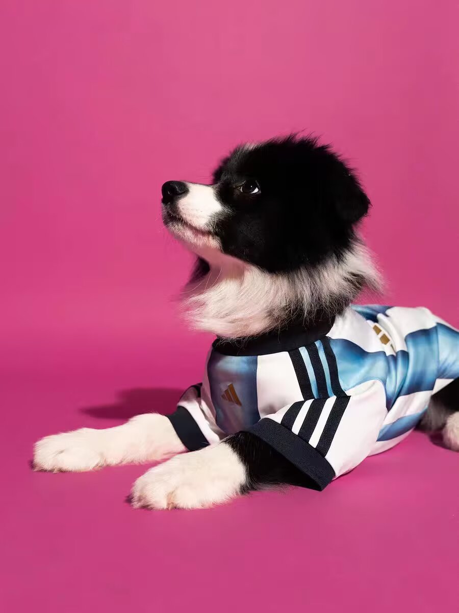 Team Argentina Jersey for Dogs - Stylish Pet Apparel for Sports Fans