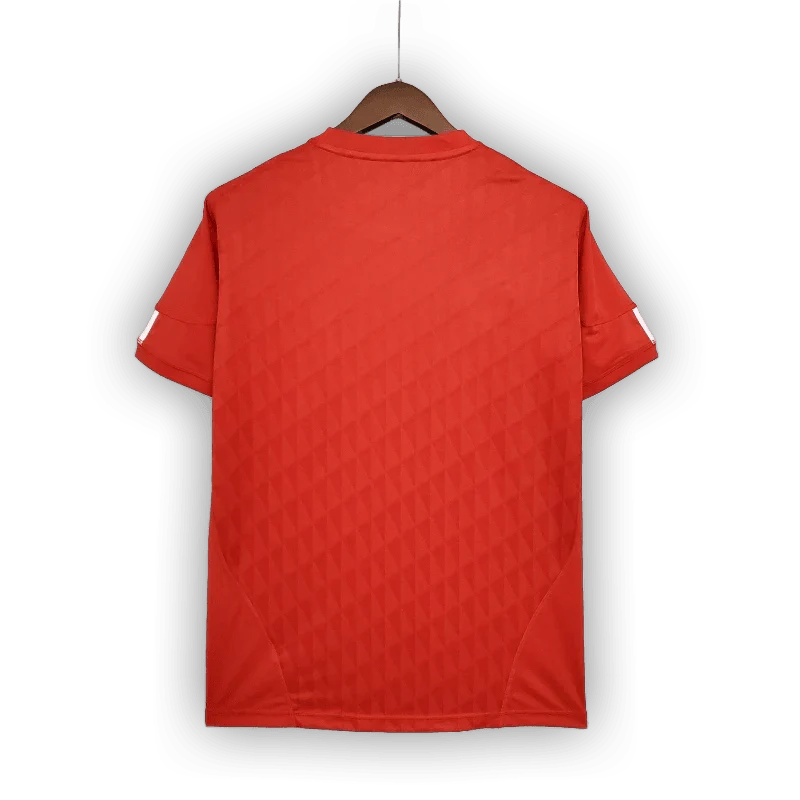 Liverpool 2010/11 Home