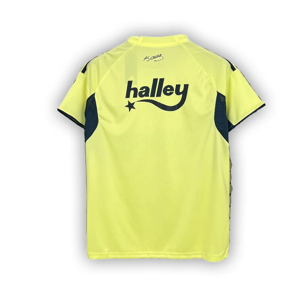 Fenerbahce 2025/26 Away