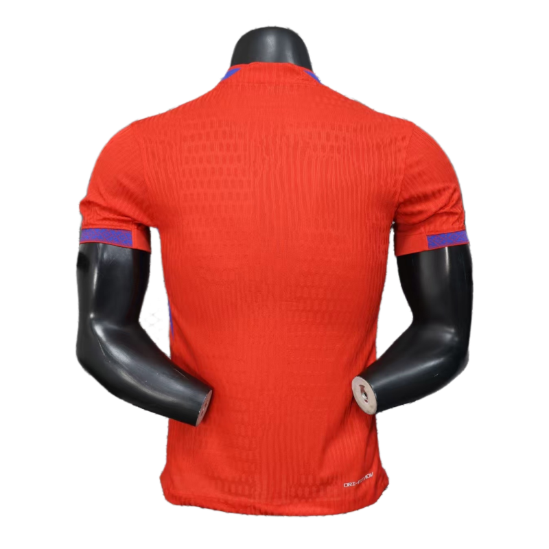 2026 Norway World Cup Home Football jersey Player edition