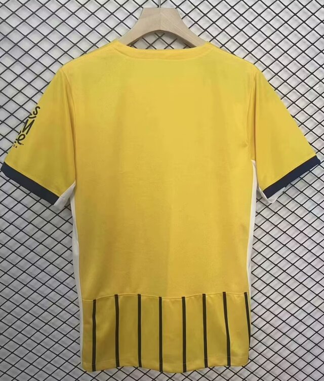 Brighton & Hove Albion Football Jersey Away Custom Shirt 2024/25