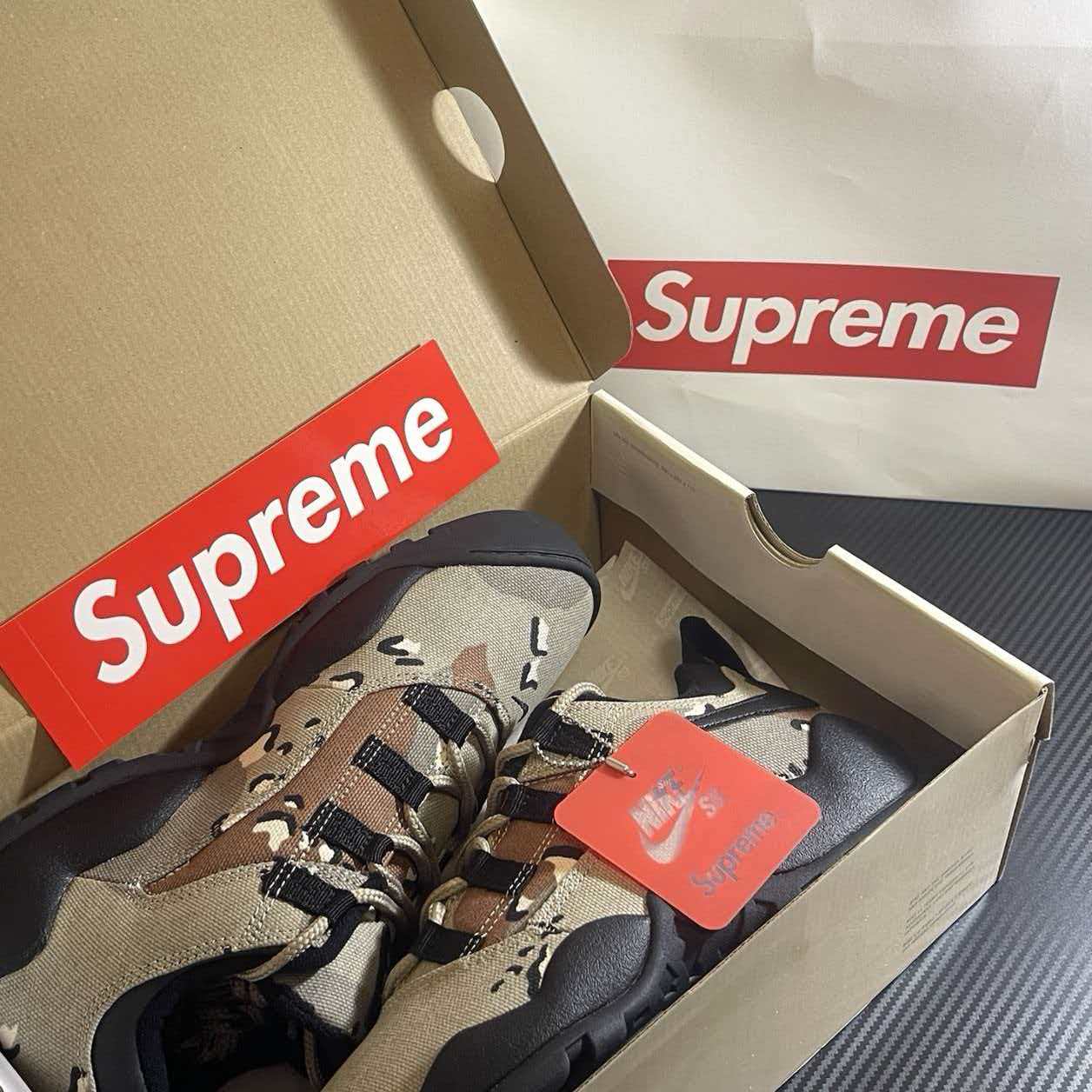 Supreme × Nike SB Air Darwin Low