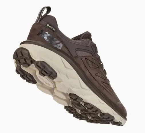 Men's Challenger Low Gore-Tex Shoe