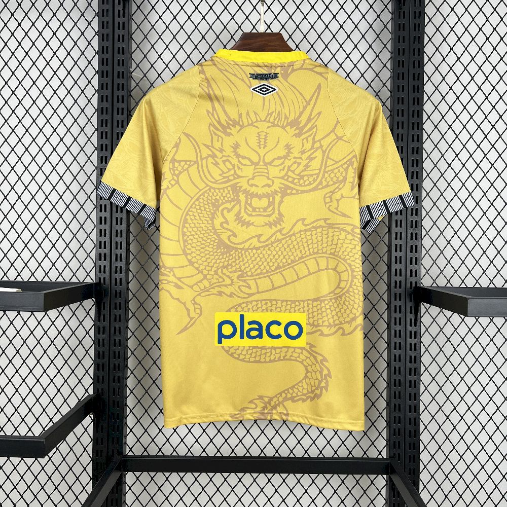 Santos FC Soccer Jersey Special Edition Custom Shirt 2025