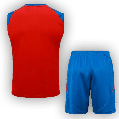 Spain 2024/25 Training Vest